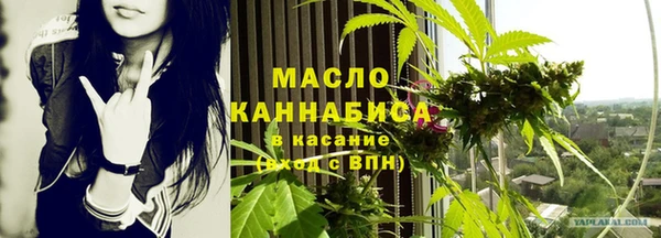 дживик Богородицк