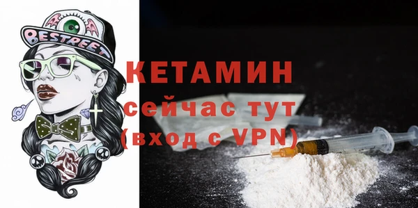 дживик Богородицк