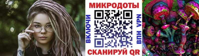 Псилоцибиновые грибы GOLDEN TEACHER  нарко площадка какой сайт  Чудово 